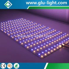 Specialista na čínské OEM LED High CRI 24V/48V RGBWWW 5 barev v 1 CRI95 flexibilní led list