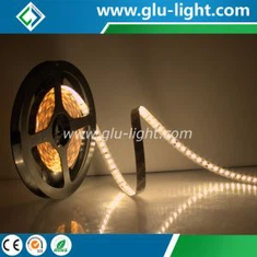 Velkoobchod bez bodů 12V/24V 180 LED/m 2835 LED pásek s CE/RoHS/UL